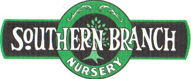 SouthernBranck